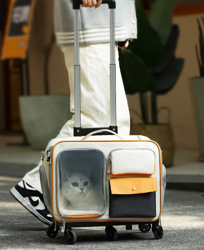 Pet Cart Portable Cat Bag Portable Travel Essential Luggage Small Cat And Dog Suitable For High Beauty Styles